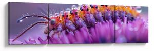 Obraz - Caterpillar (170x50 cm)