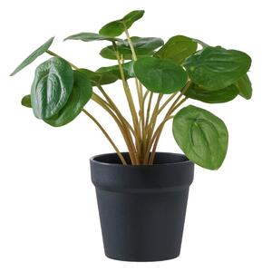 Sztuczna roślina (wysokość 28 cm) Pelia – House Nordic