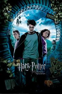 Plakat, Obraz Harry Potter - Prisoner of Azkaban, (61 x 91.5 cm)