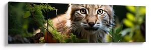 Obraz - Rysunek (170x50 cm)