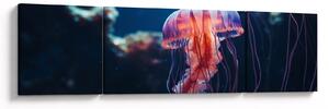 Obraz - Meduza (170x50 cm)