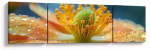 Obraz - Szczegół kwiatu (170x50 cm)