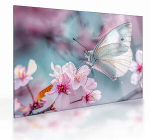Obraz na szkle - Motyl na drzewie wiśni (70x50 cm)