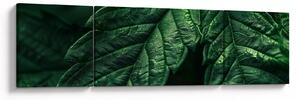 Obraz - Szczegół arkusza (170x50 cm)