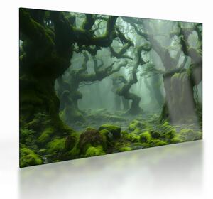 Obraz na szkle - Las porośnięty mchem (70x50 cm)