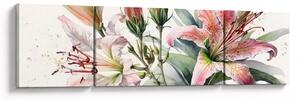 Obraz - Lilie, ilustracje (170x50 cm)