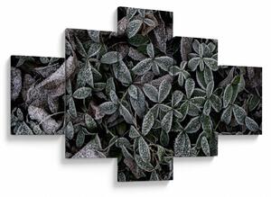 Obraz - Zamrożone rośliny (125x70 cm)