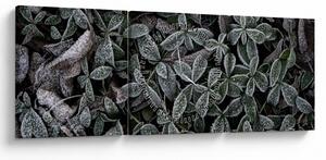Obraz - Zamrożone rośliny (z zegarem) (90x30 cm)