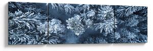 Obraz - Śnieżny las (170x50 cm)