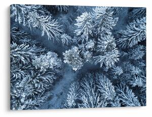 Obraz - Śnieżny las (70x50 cm)
