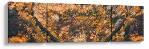 Obraz - Rzeka w kształcie serca (170x50 cm)
