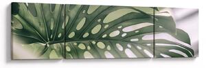Obraz - Lista potworów (170x50 cm)