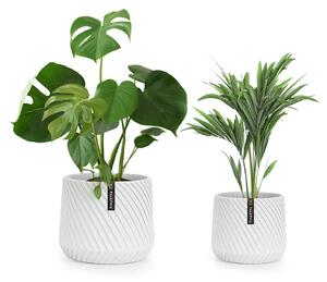 Fox & Fern Heusden, zestaw 2 doniczek na stojaku, Polystone, idealna dla roślin, wykonana ręcznie, wygląd 3D