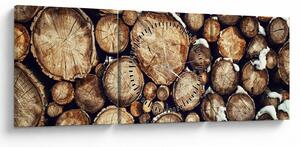 Obraz - Drewno w śniegu (z zegarem) (90x30 cm)
