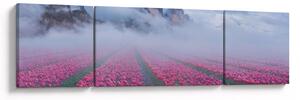 Obraz - Krajobraz z polami tulipanów (170x50 cm)