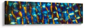 Obraz - Ściana komórkowa (170x50 cm)