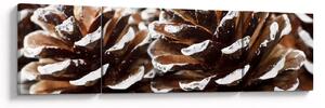 Obraz - Pączki (170x50 cm)