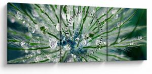 Obraz - Makro zdjęcie kwiatu (z zegarem) (90x30 cm)