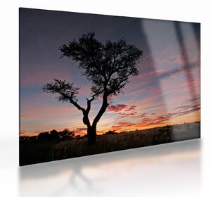 Obraz na szkle - Drzewo i czerwonawe odcienie (70x50 cm)