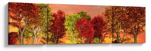 Obraz - Kolorowe drzewa (170x50 cm)