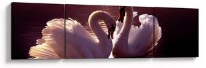 Obraz - Łabędzie na jeziorze (170x50 cm)