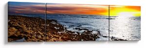 Obraz - Mewa lecąca nad wybrzeżem (170x50 cm)