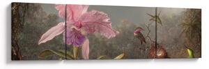 Obraz - Martin Johnson Heade, Cattleya Orchid and Three Hummingbirds, reprodukcje (170x50 cm)