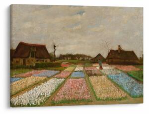 Obraz - Vincent van Gogh, Flower Beds in Holland, reprodukcje (70x50 cm)