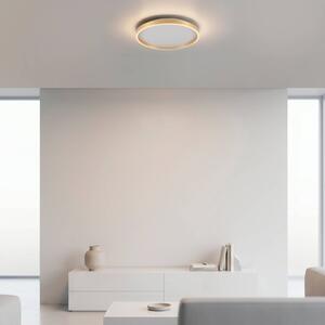 JUST LIGHT. GmbH Lampa sufitowa Madlen, możliwość ściemniania, mosiężny / złoty, salon / jadalnia, metal, nowoczesny
