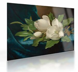 Obraz na szkle - Martin Johnson Heade, Giant Magnolias on a Blue Velvet Cloth, reprodukcje (70x50 cm)