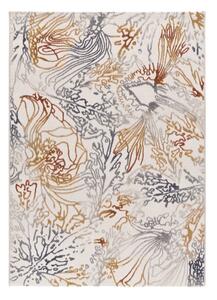 Dywan 80x150 cm Amara – Universal