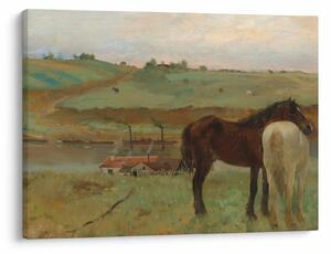 Obraz - Edgar Degas, Horses in a Meadow, reprodukcje (70x50 cm)