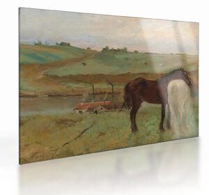 Obraz na szkle - Edgar Degas, Horses in a Meadow, reprodukcje (70x50 cm)