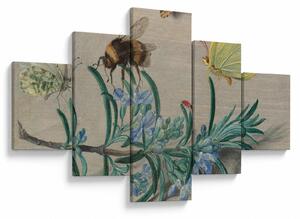 Obraz - Jan van Kessel the Elder, Insects and a Sprig of Rosemary, reprodukcje (125x70 cm)