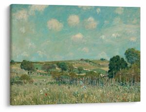 Obraz - Alfred Sisley, Meadow, reprodukcje (70x50 cm)