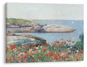 Obraz - Childe Hassam, Poppies, Isles of Shoals, reprodukcje (70x50 cm)