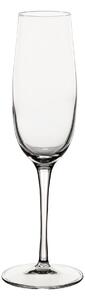 Kieliszki do szamapna Plzazzo 6szt. 235ml