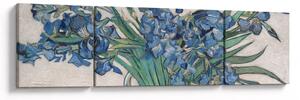 Obraz - Vincent van Gogh, Irises, reprodukcje (170x50 cm)