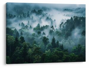 Obraz - Las we mgle (70x50 cm)