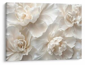 Obraz - Delikatne piwonie (70x50 cm)
