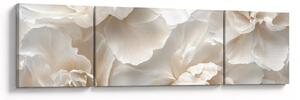 Obraz - Delikatne piwonie (170x50 cm)