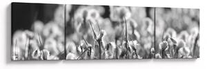Obraz - Letnia łąka (170x50 cm)