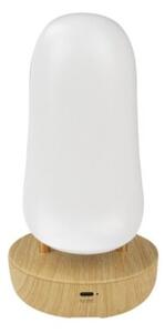 Lampka nocna dla dzieci bezprzewodowa RGBW biała tukan LED 2.7W Mary's