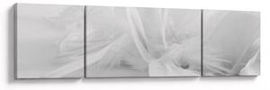 Obraz - Pióra (170x50 cm)