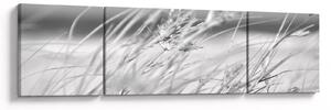 Obraz - Trawa plażowa (170x50 cm)