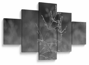 Obraz - Wiejska łąka (125x70 cm)