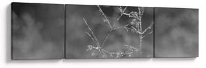 Obraz - Wiejska łąka (170x50 cm)