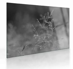 Obraz na szkle - Wiejska łąka (70x50 cm)