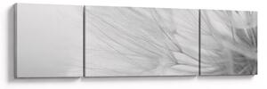 Obraz - Mniszek lekarski (170x50 cm)