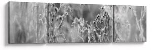 Obraz - Dzika łąka (170x50 cm)